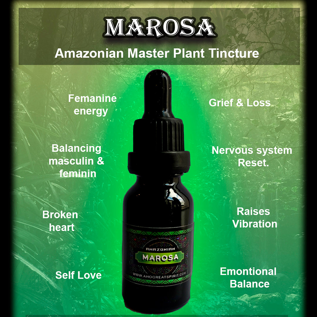 Marosa (calathea allouia) Amazonian master plant tincture or extract.