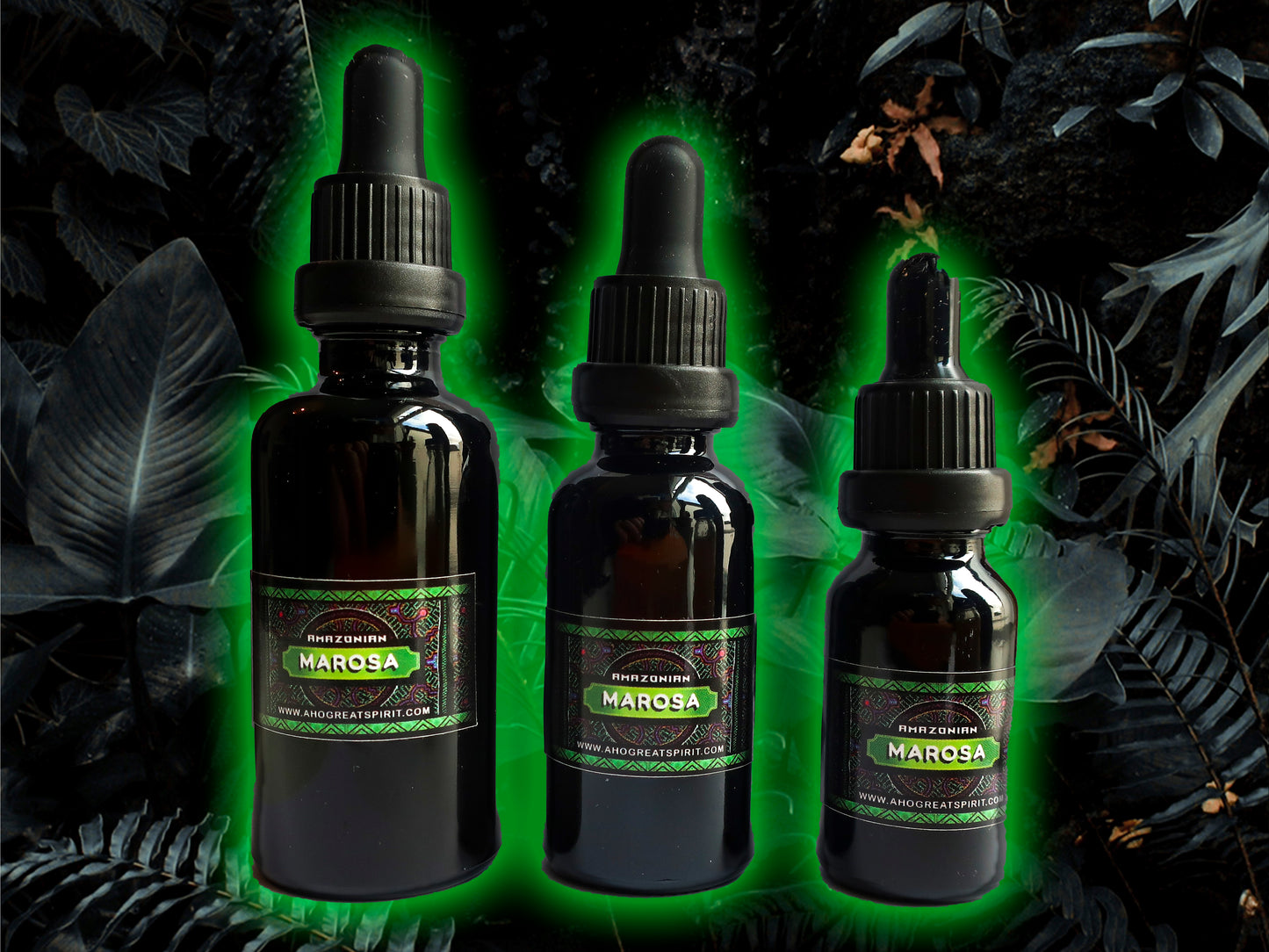 Marosa (calathea allouia) Amazonian master plant tincture or extract. 15ml 30 ml and 50ml bottles