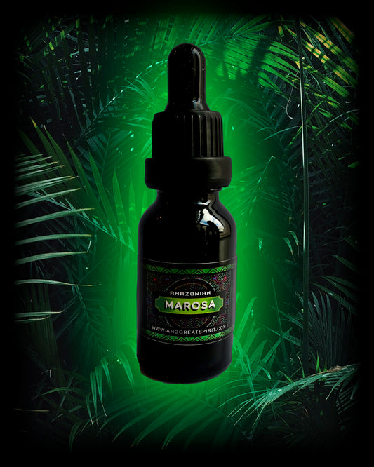 Marosa (calathea allouia) Amazonian master plant tincture or extract fresh from the jungle - front shot